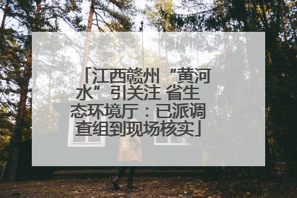 江西赣州“黄河水”引关注 省生态环境厅：已派调查组到现场核实