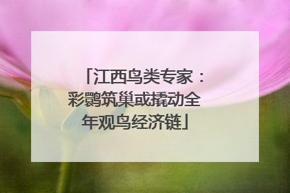 江西鸟类专家：彩鹮筑巢或撬动全年观鸟经济链