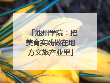 池州学院：把美育实践做在地方文旅产业里