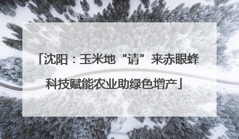 沈阳：玉米地“请”来赤眼蜂 科技赋能农业助绿色增产