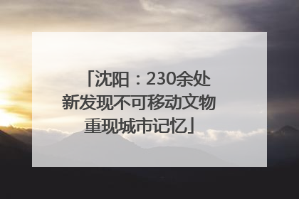 沈阳：230余处新发现不可移动文物重现城市记忆
