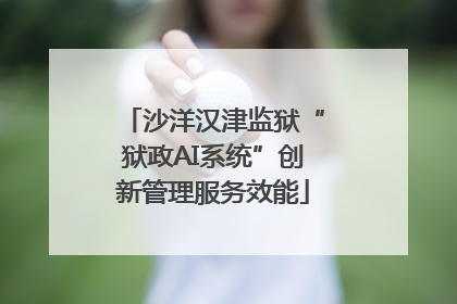 沙洋汉津监狱“狱政AI系统”创新管理服务效能