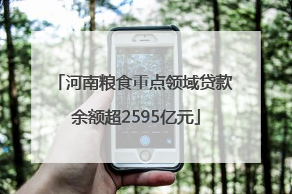 河南粮食重点领域贷款余额超2595亿元