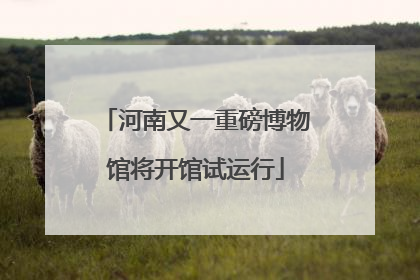 河南又一重磅博物馆将开馆试运行