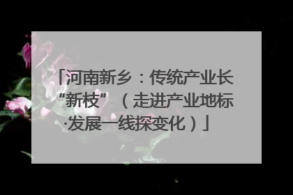 河南新乡：传统产业长“新枝”（走进产业地标·发展一线探变化）