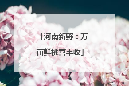 河南新野：万亩鲜桃喜丰收