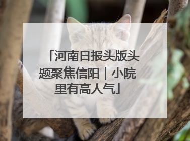 河南日报头版头题聚焦信阳｜小院里有高人气