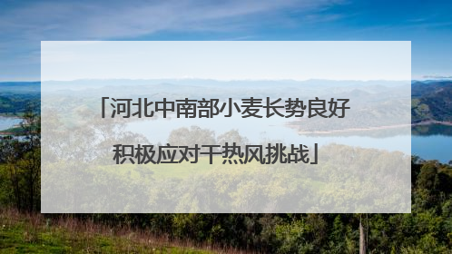 河北中南部小麦长势良好 积极应对干热风挑战