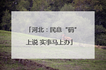 河北：民意“码”上说 实事马上办