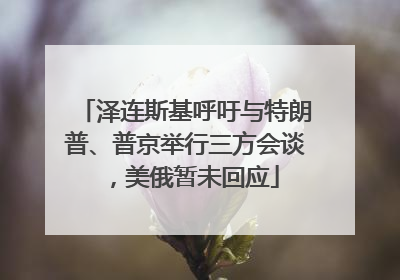 泽连斯基呼吁与特朗普、普京举行三方会谈，美俄暂未回应