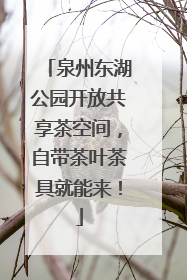 泉州东湖公园开放共享茶空间，自带茶叶茶具就能来！