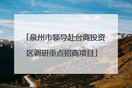 泉州市领导赴台商投资区调研重点招商项目