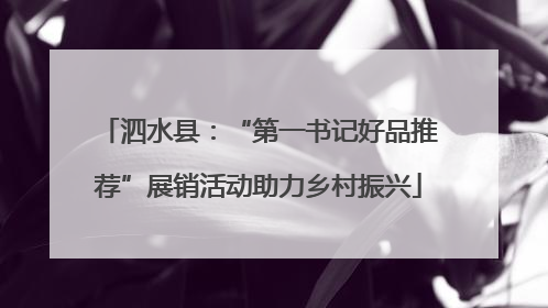 泗水县：“第一书记好品推荐”展销活动助力乡村振兴