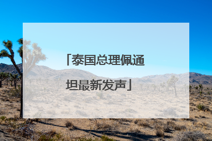 泰国总理佩通坦最新发声
