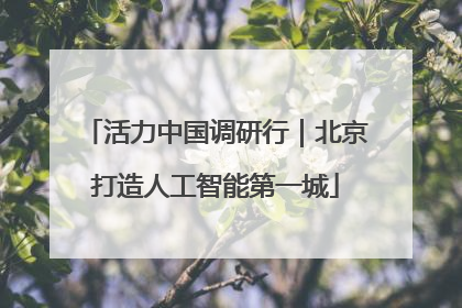 活力中国调研行｜北京打造人工智能第一城