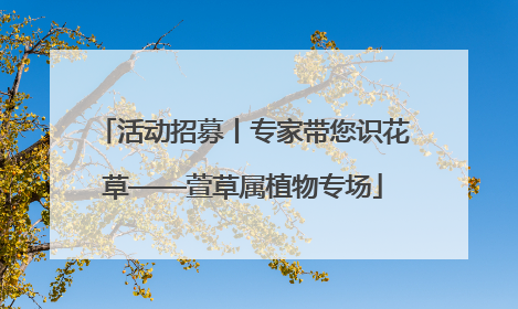 活动招募丨专家带您识花草——萱草属植物专场