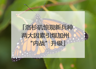 洛杉矶惊现新兵种 两大因素引爆加州“内战”升级