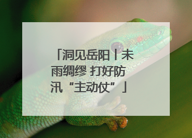 洞见岳阳丨未雨绸缪 打好防汛“主动仗”