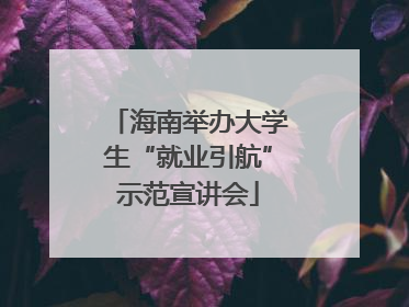 海南举办大学生“就业引航”示范宣讲会