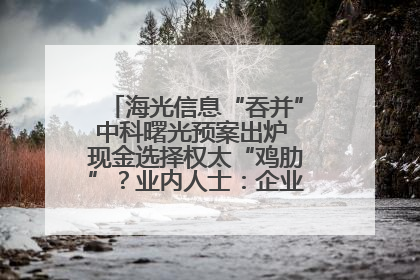 海光信息“吞并”中科曙光预案出炉 现金选择权太“鸡肋”？业内人士：企业不想大量现金流出