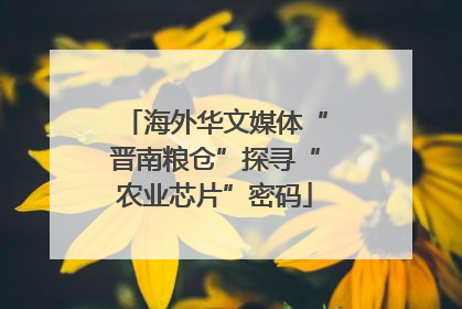 海外华文媒体“晋南粮仓”探寻“农业芯片”密码