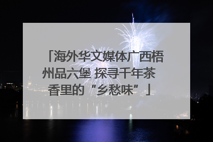 海外华文媒体广西梧州品六堡 探寻千年茶香里的“乡愁味”