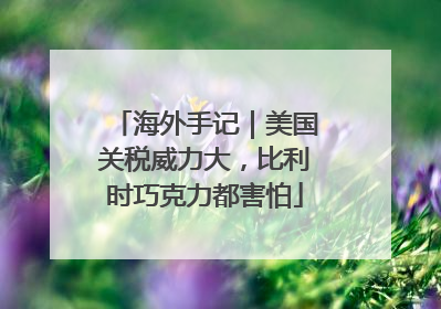 海外手记｜美国关税威力大，比利时巧克力都害怕
