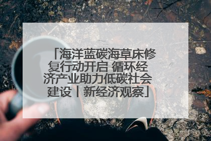 海洋蓝碳海草床修复行动开启 循环经济产业助力低碳社会建设丨新经济观察