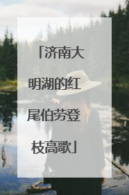 济南大明湖的红尾伯劳登枝高歌
