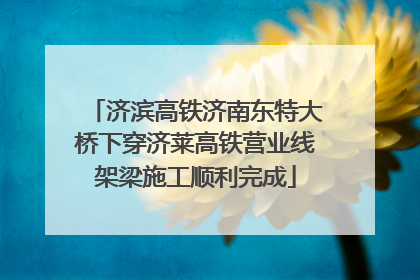 济滨高铁济南东特大桥下穿济莱高铁营业线架梁施工顺利完成