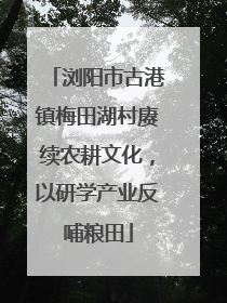 浏阳市古港镇梅田湖村赓续农耕文化，以研学产业反哺粮田