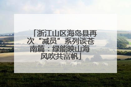 浙江山区海岛县再次“减员”系列谈苍南篇：绿能映山海 风吹共富帆