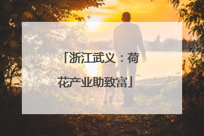 浙江武义：荷花产业助致富