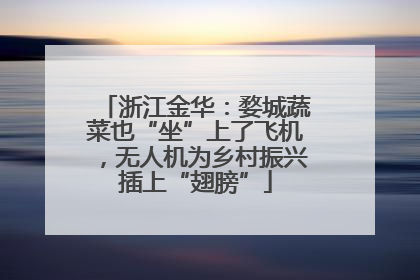 浙江金华：婺城蔬菜也“坐”上了飞机，无人机为乡村振兴插上“翅膀”