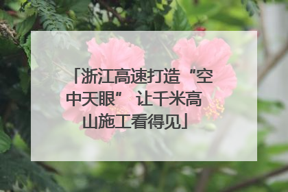 浙江高速打造“空中天眼” 让千米高山施工看得见