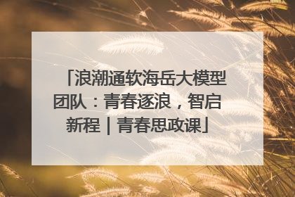 浪潮通软海岳大模型团队：青春逐浪，智启新程｜青春思政课