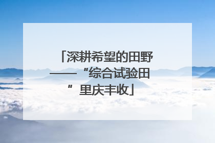 深耕希望的田野——“综合试验田”里庆丰收