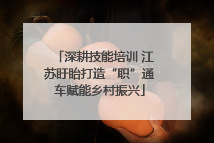 深耕技能培训 江苏盱眙打造“职”通车赋能乡村振兴