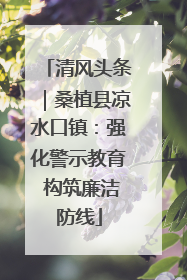 清风头条｜桑植县凉水口镇：强化警示教育 构筑廉洁防线