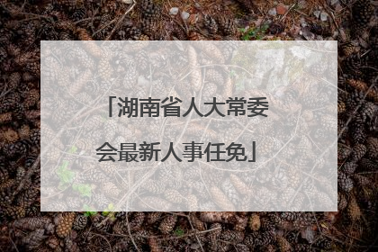 湖南省人大常委会最新人事任免