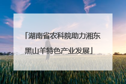 湖南省农科院助力湘东黑山羊特色产业发展