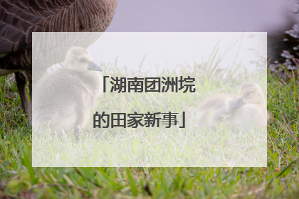 湖南团洲垸的田家新事