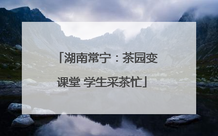 湖南常宁：茶园变课堂 学生采茶忙