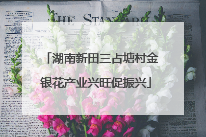 湖南新田三占塘村金银花产业兴旺促振兴