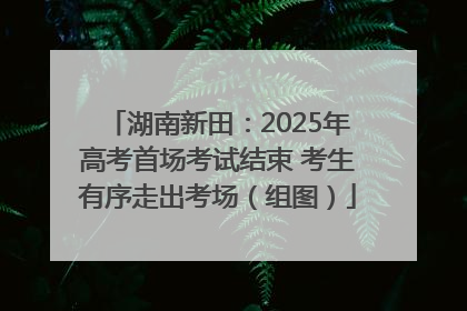 湖南新田：2025年高考首场考试结束 考生有序走出考场（组图）