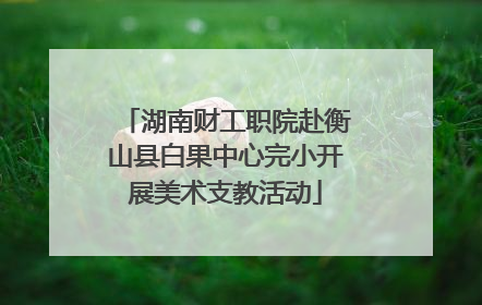 湖南财工职院赴衡山县白果中心完小开展美术支教活动