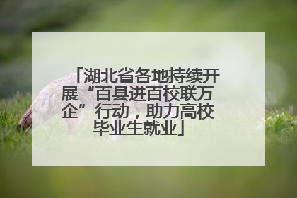 湖北省各地持续开展“百县进百校联万企”行动，助力高校毕业生就业