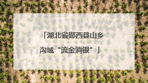 湖北省郧西县山乡沟域“流金淌银”