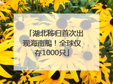 湖北秭归首次出现海南鳽！全球仅存1000只