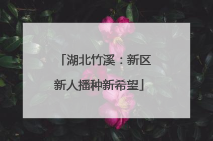 湖北竹溪：新区新人播种新希望